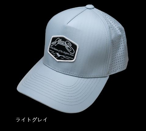 レインメッシュキャップ10 ライトグレイ フリーサイズ