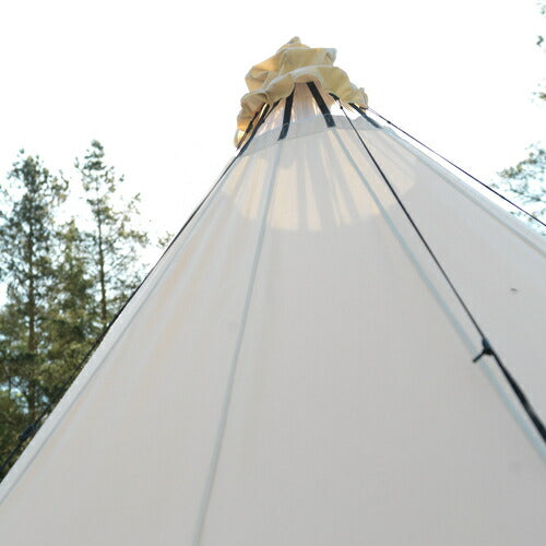 アルフェイム12.6