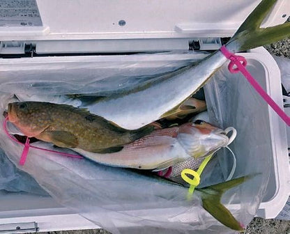 e-Band イエロー 5本入