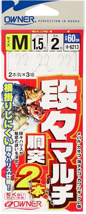 H6213 段ーマルチ胴突2本仕掛 L(6)