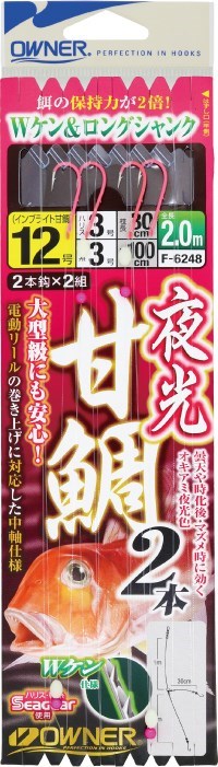 F6248 夜光甘鯛2本 12号