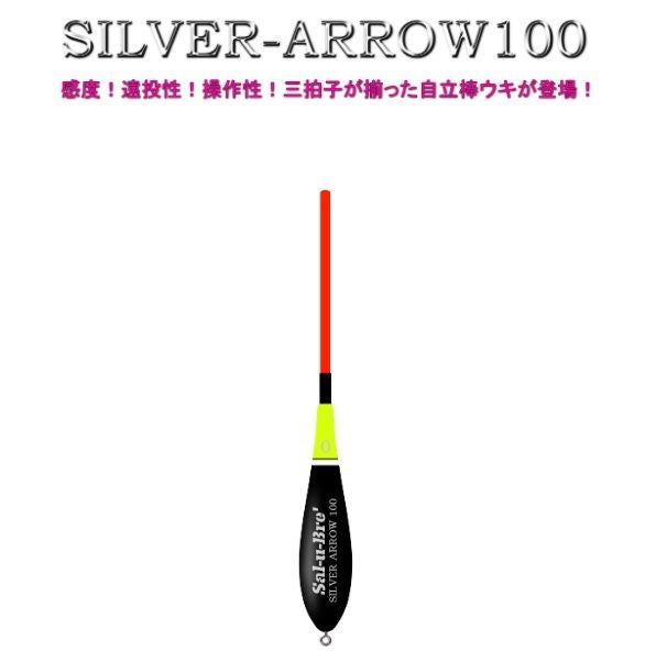 SILVER-ARROW 100(シルバーアロー100) 全長20cm 2B