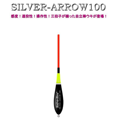 SILVER-ARROW 100(シルバーアロー100) 全長20cm 3B