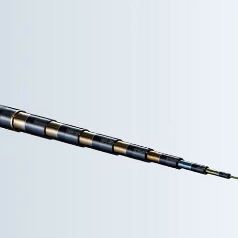 ボーダレス リミテッド GL(ガイドレス仕様/Pモデル) P900-T 9.00m ロッド(フリースタイル)