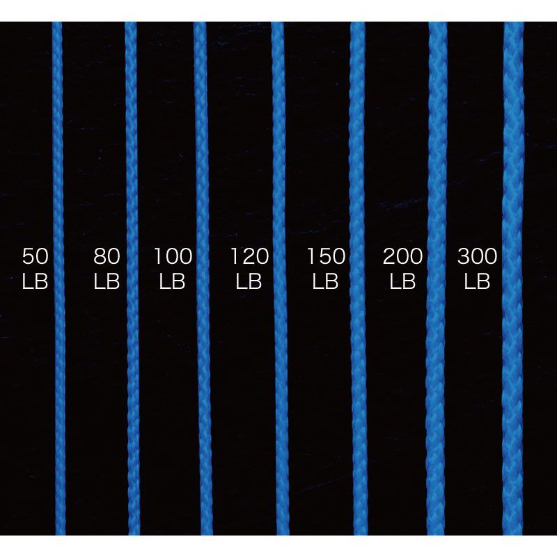【アウトレット】ブルーアシストPE   80LB