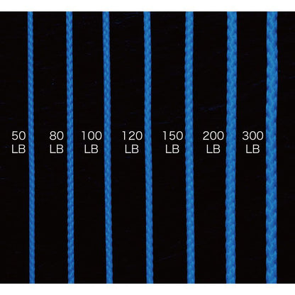 【アウトレット】ブルーアシストPE   80LB