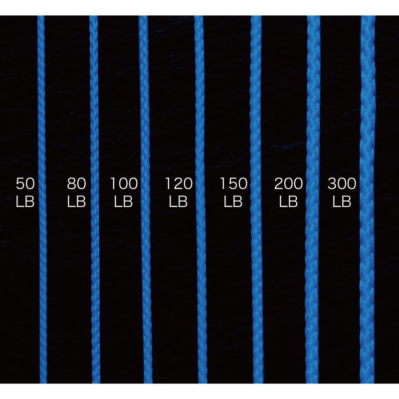 ブルーアシストPE   150LB