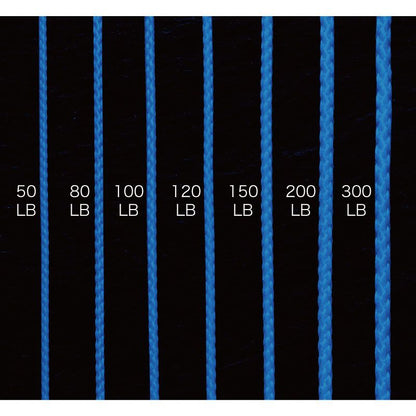 ブルーアシストPE   200LB