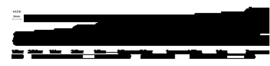 ブラックビーンズTG   1/4oz(7.0g) 3個入