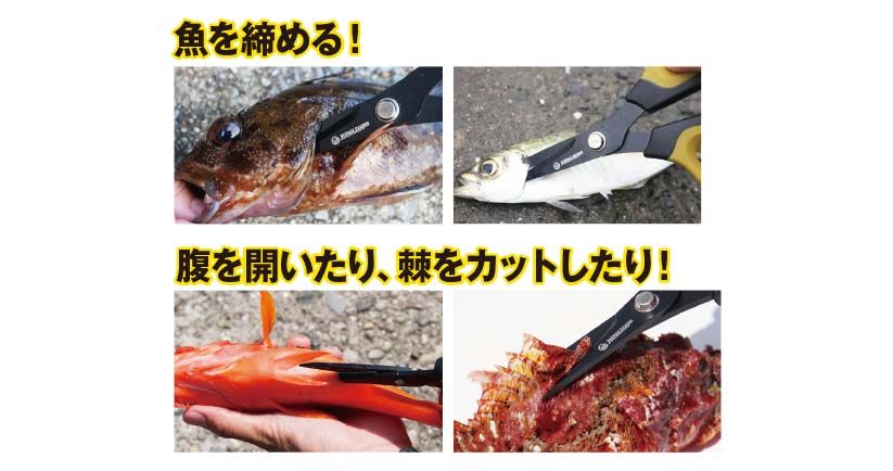 お魚締め之助  グレー