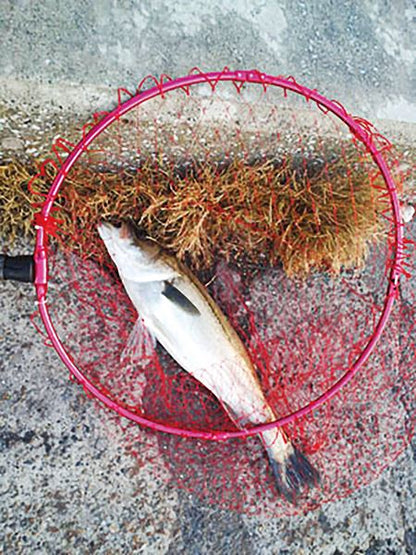 304-N 1ピースカラータモ枠 36cm 色指定不可 1個