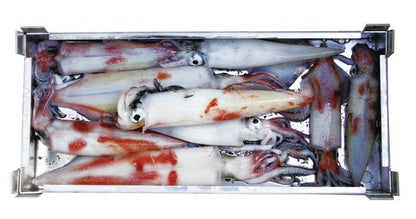 T-165 アルミ製イカトロ箱 S 1個