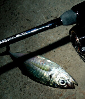 【アウトレット】シノビ SHINOBI ブラック 0.35号 200m φ0.098mm