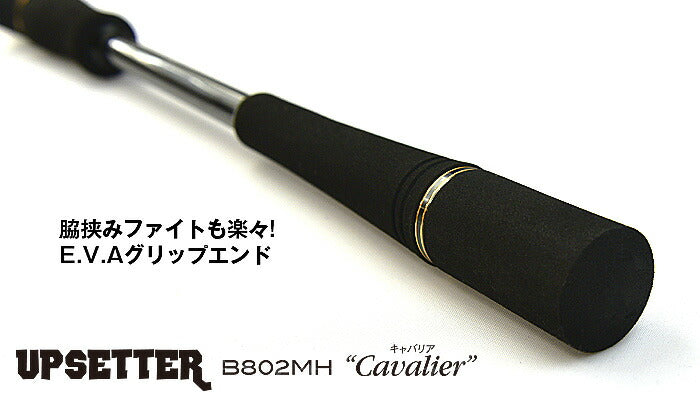 UP SETTER アップセッター B802MH Cavalier キャバリア 8フィート/245cm 138g