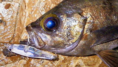 フロッパーブロス55 FLOPPER Bros 55 シンキング 03/クリアホロラメ 55mm 5.3g